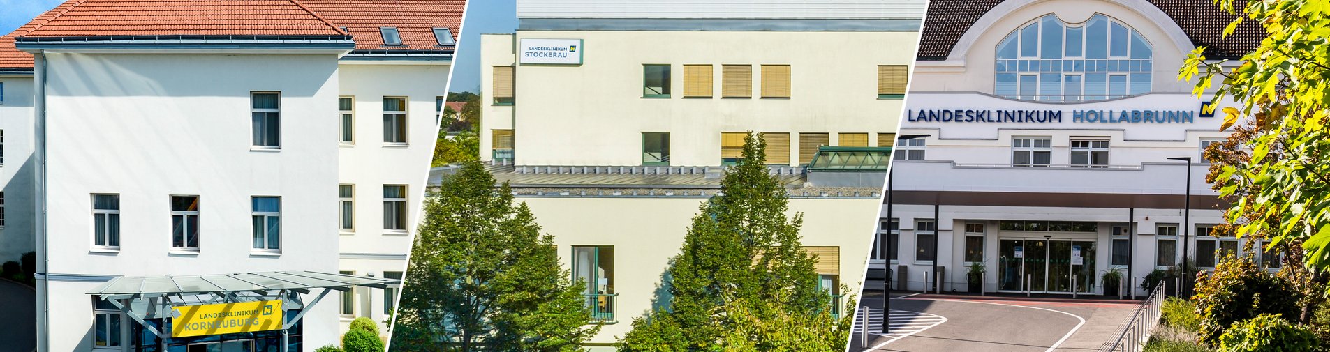 Logo der NÖ Landesgesundheitsagentur